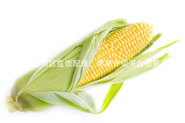 成都成华区园区盒饭配送，哪家外卖平台服务更快？